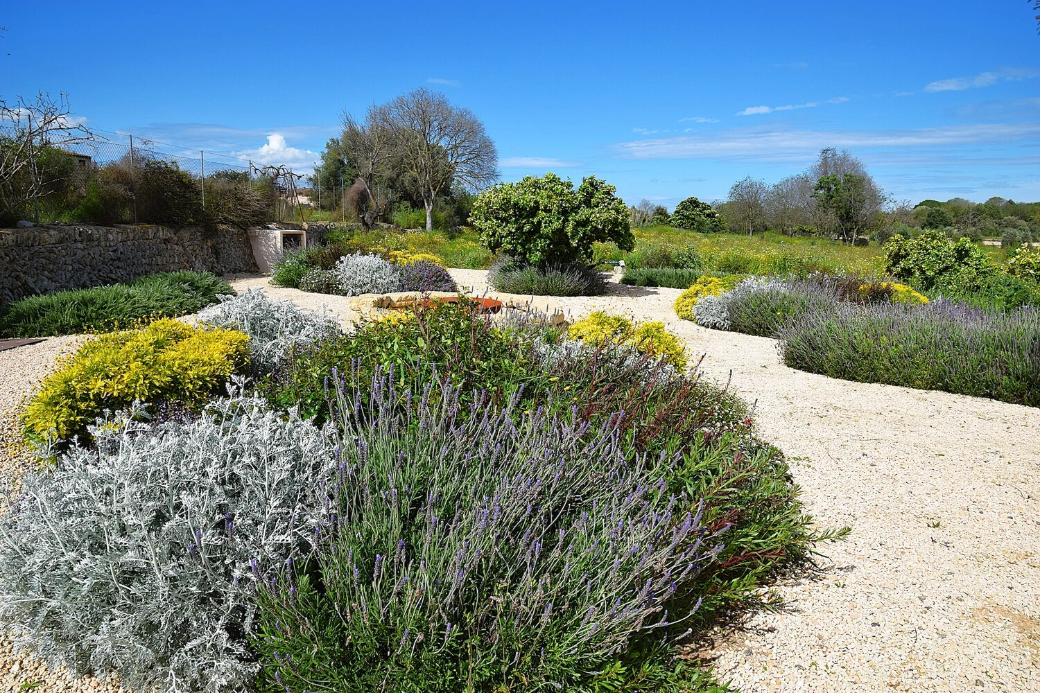 GARDEN LANDSCAPE DESIGN LLUBÍ MALLORCA SESTEPA DESIGN — Llubí Wild Garden