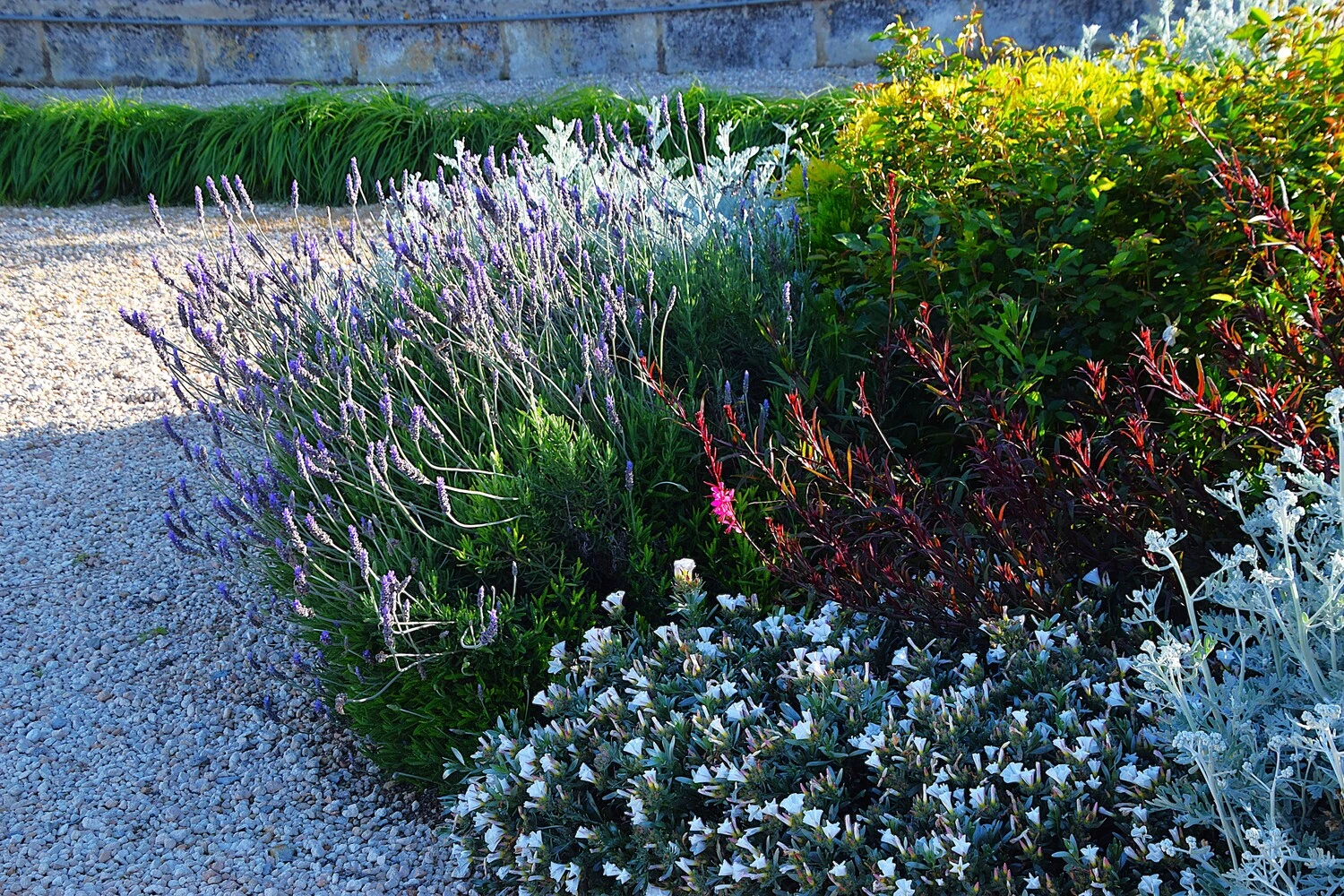 GARDEN LANDSCAPE DESIGN LLUBÍ MALLORCA SESTEPA DESIGN — Llubí Wild Garden