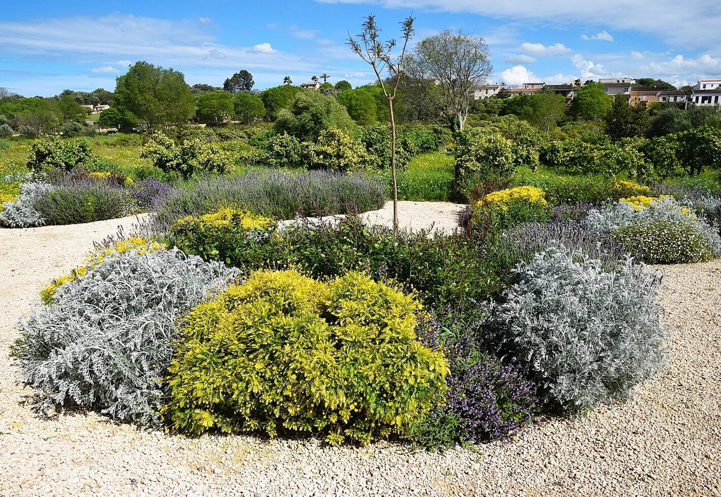 GARDEN LANDSCAPE DESIGN LLUBÍ MALLORCA SESTEPA DESIGN — Llubí Wild Garden