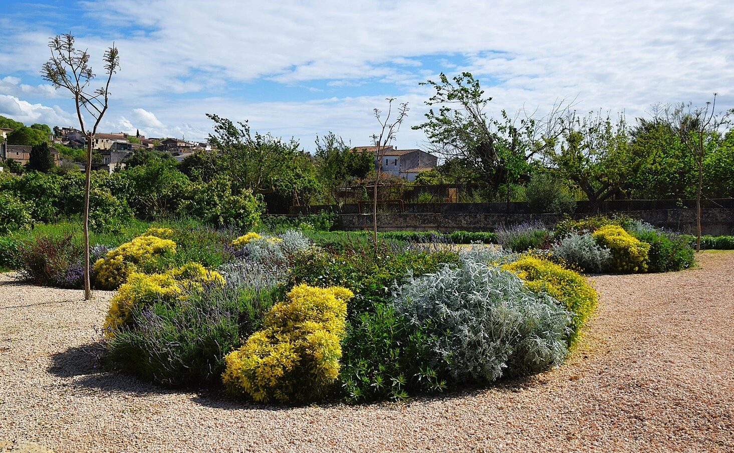 GARDEN LANDSCAPE DESIGN LLUBÍ MALLORCA SESTEPA DESIGN — Llubí Wild Garden