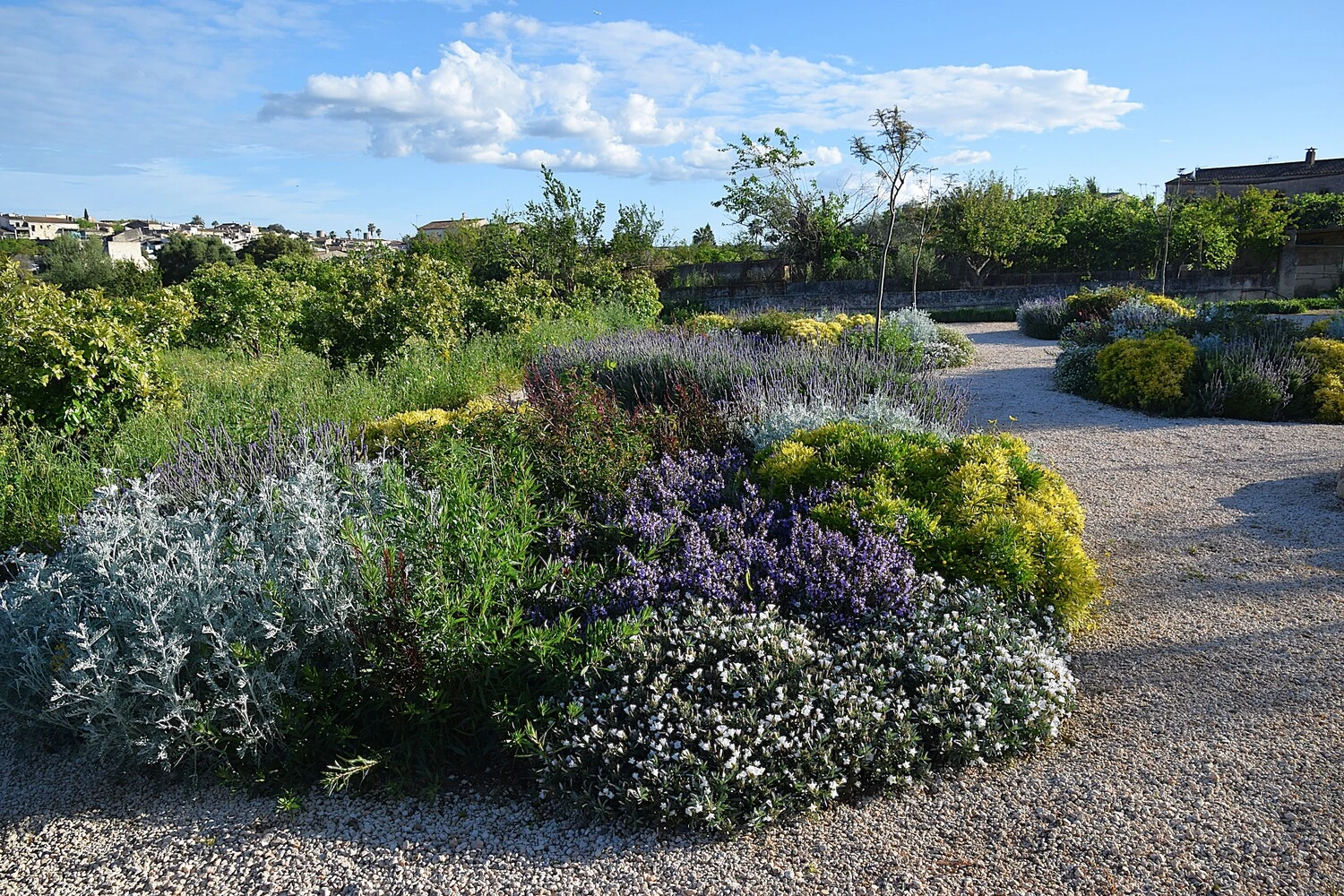GARDEN LANDSCAPE DESIGN LLUBÍ MALLORCA SESTEPA DESIGN — Llubí Wild Garden