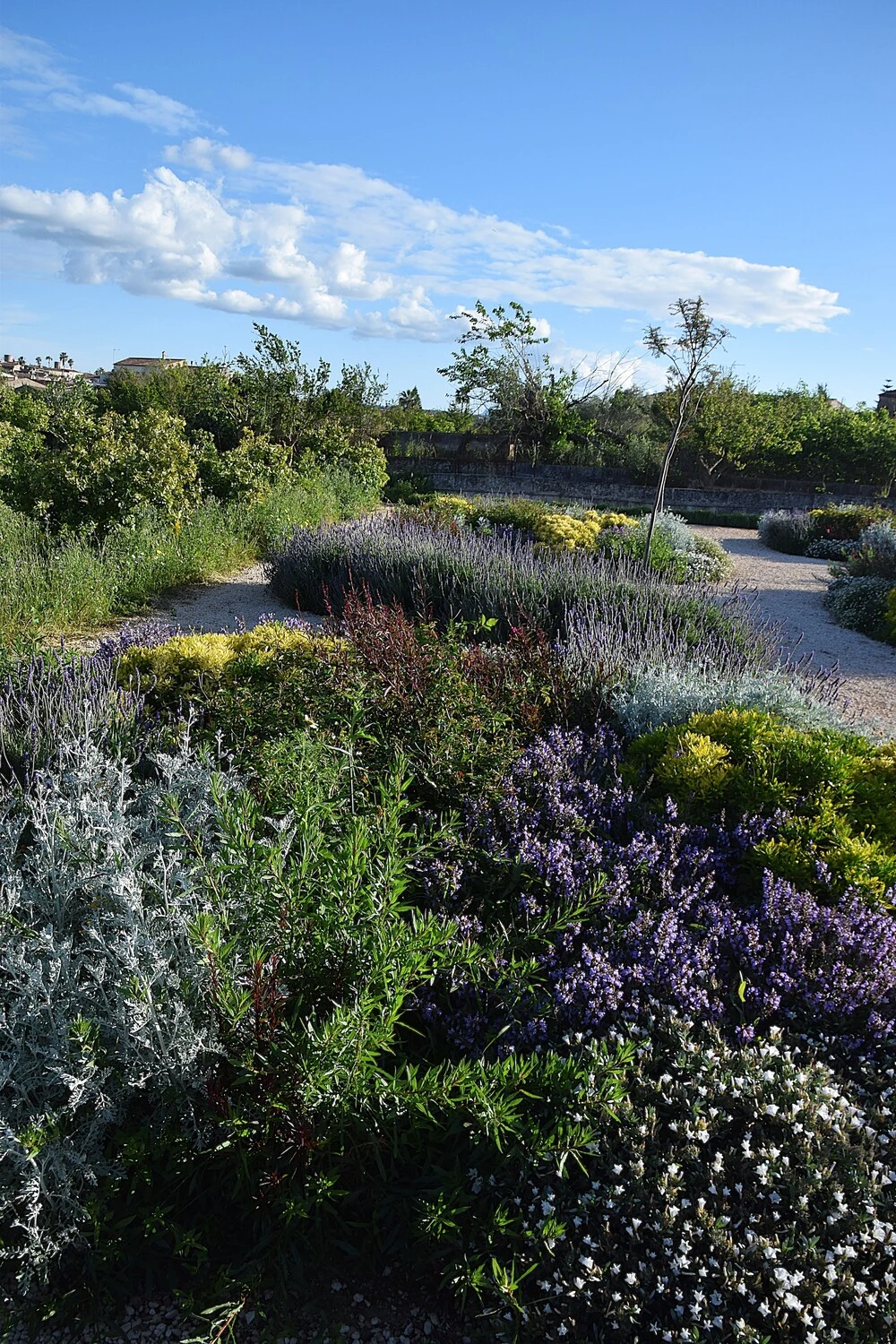 GARDEN LANDSCAPE DESIGN LLUBÍ MALLORCA SESTEPA DESIGN — Llubí Wild Garden