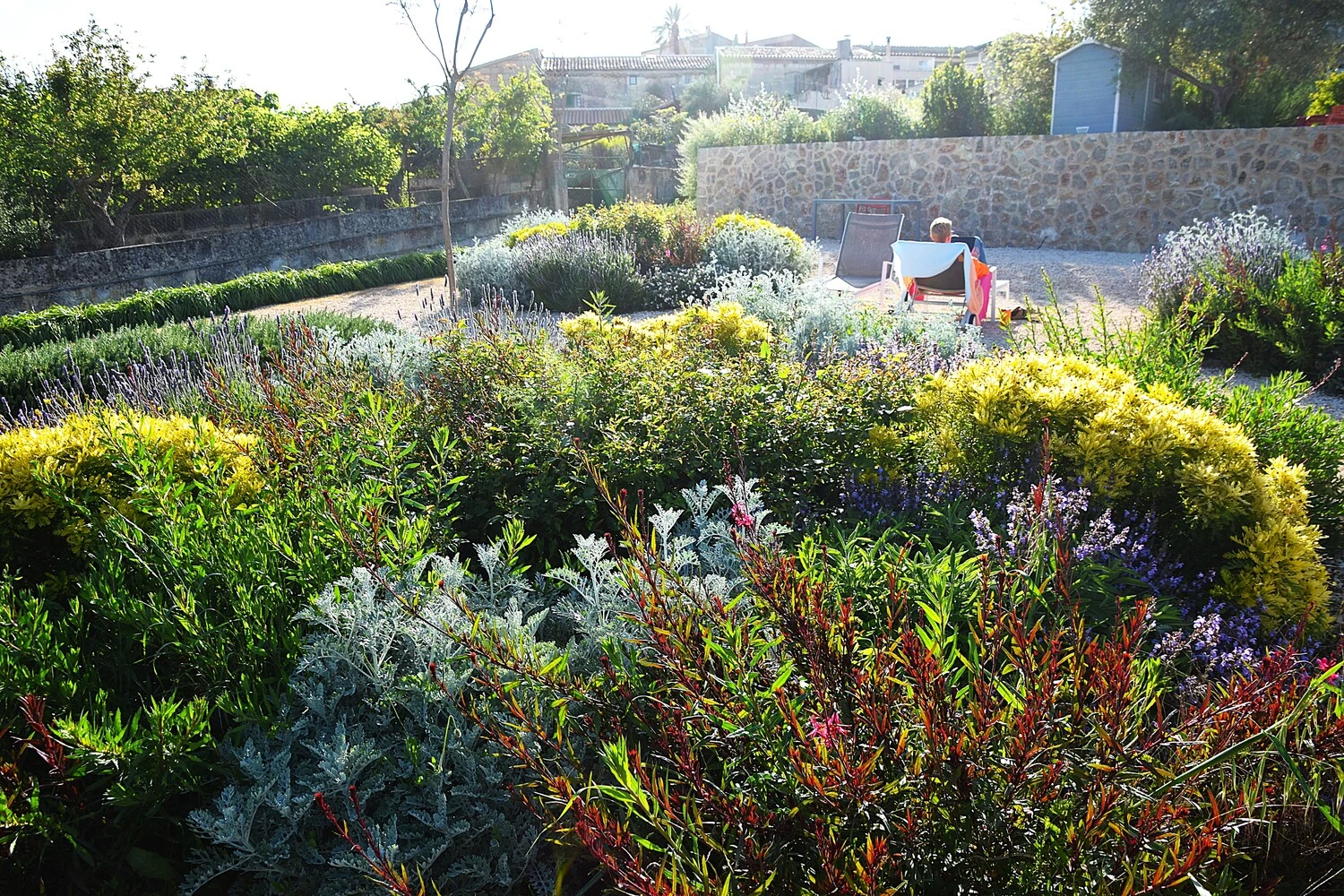 GARDEN LANDSCAPE DESIGN LLUBÍ MALLORCA SESTEPA DESIGN — Llubí Wild Garden