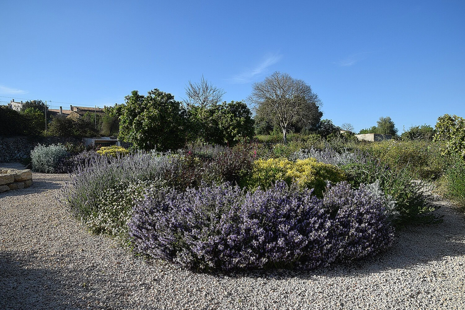 GARDEN LANDSCAPE DESIGN LLUBÍ MALLORCA SESTEPA DESIGN — Llubí Wild Garden