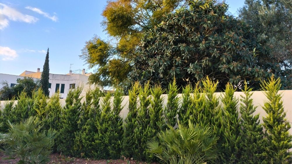 GARDEN LANDSCAPE DESIGN SANTA EUGÈNIA MALLORCA SESTEPA DESIGN — Santa Eugènia Terraces