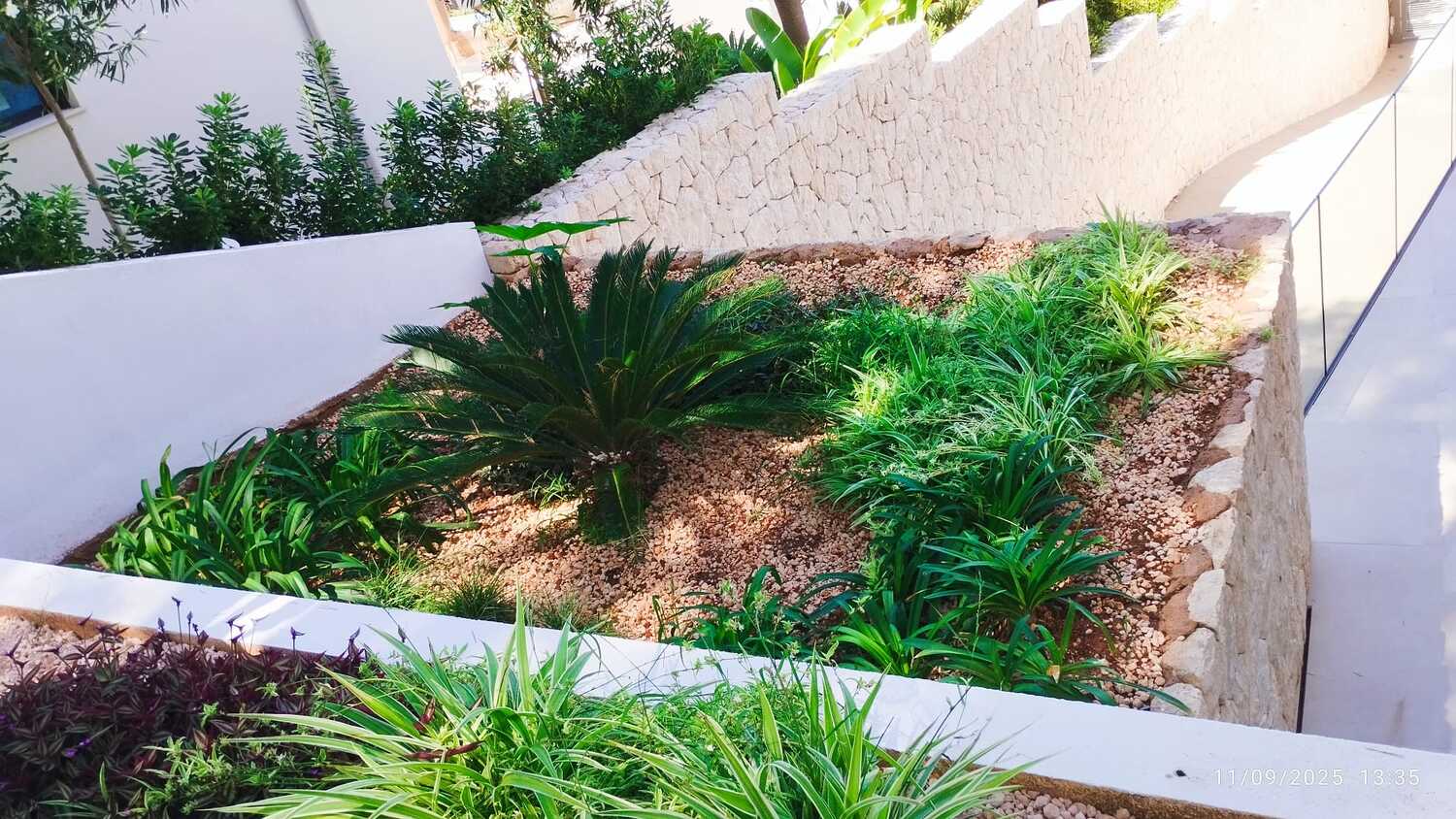 GARDEN LANDSCAPE DESIGN SANTA PONSA, CALVIÀ MALLORCA SESTEPA DESIGN — Santa Ponsa Ravine