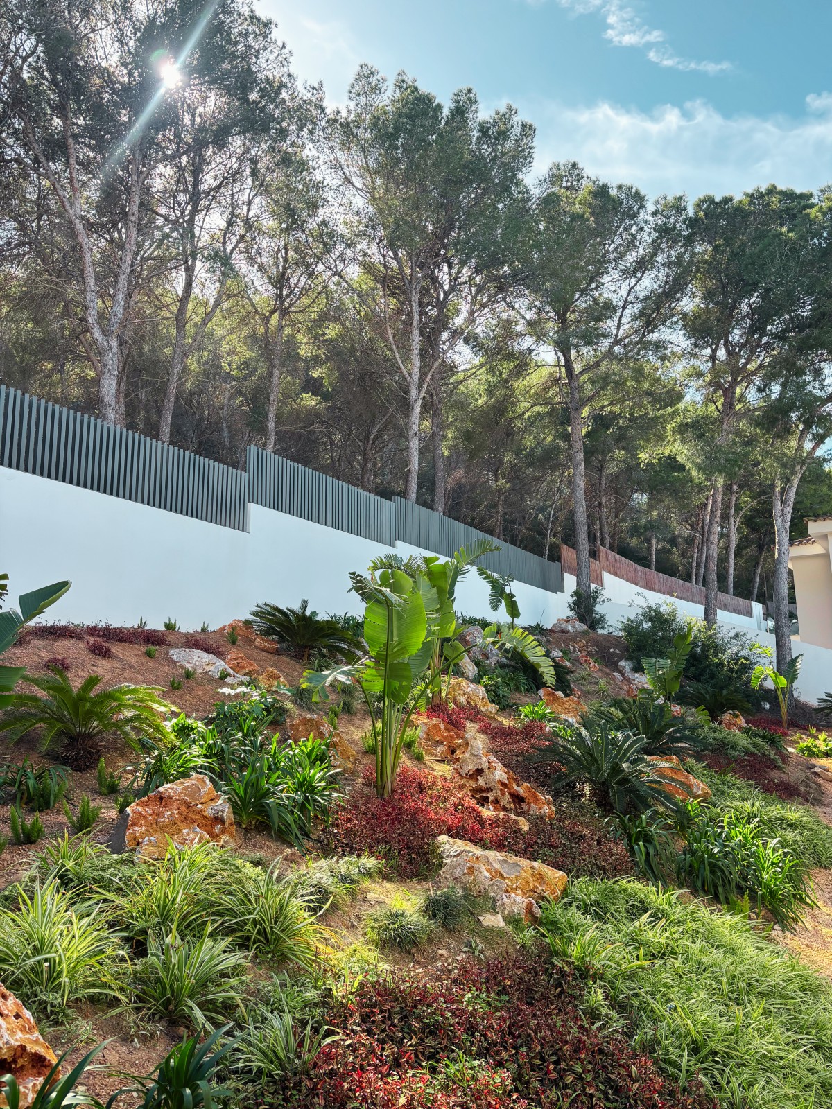 Santa Ponsa — Garden Design Santa Ponsa, Calvià, Mallorca, Image 3