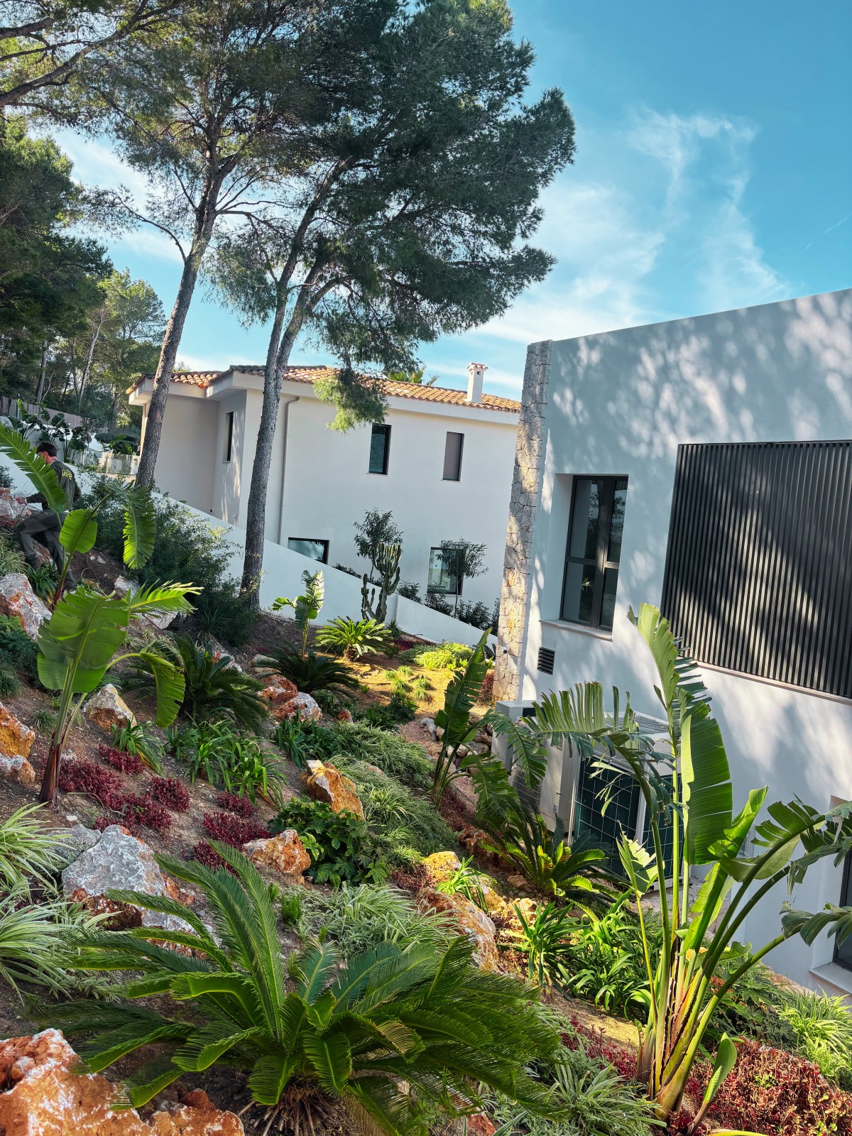Santa Ponsa — Garden Design Santa Ponsa, Calvià, Mallorca, Image 5