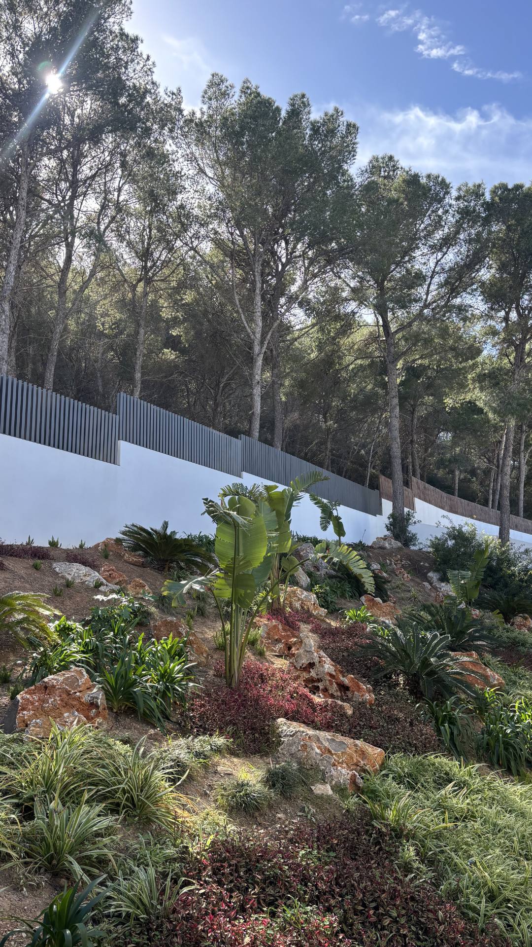 GARDEN LANDSCAPE DESIGN SANTA PONSA, CALVIÀ MALLORCA SESTEPA DESIGN — Santa Ponsa Ravine