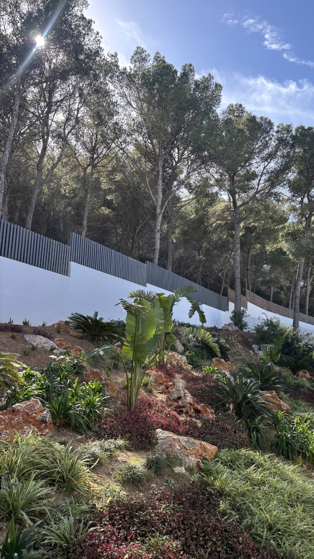 GARDEN LANDSCAPE DESIGN SANTA PONSA, CALVIÀ MALLORCA SESTEPA DESIGN — Santa Ponsa Ravine