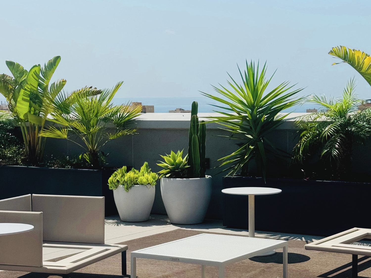 GARDEN LANDSCAPE DESIGN PALMA DE MALLORCA MALLORCA SESTEPA DESIGN — Ático Terraza Palma