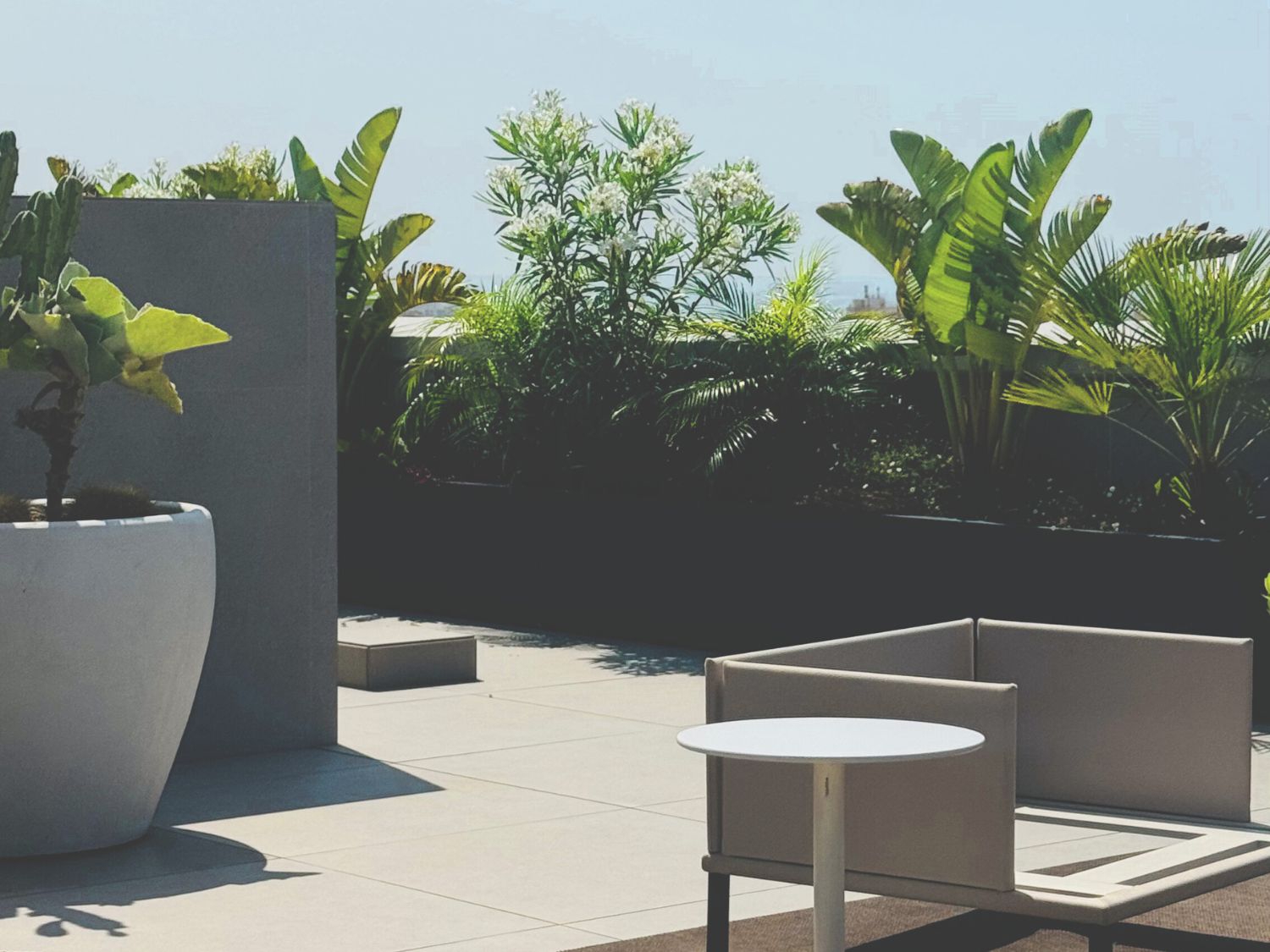 GARDEN LANDSCAPE DESIGN PALMA DE MALLORCA MALLORCA SESTEPA DESIGN — Ático Terraza Palma
