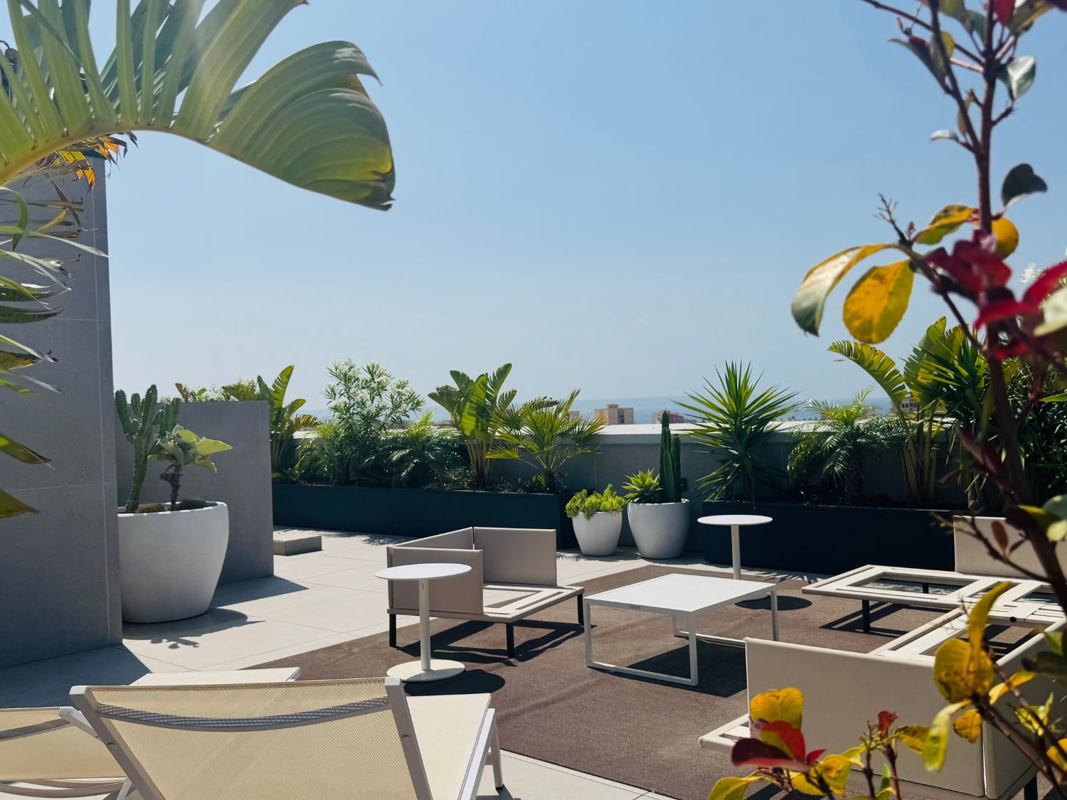 GARDEN LANDSCAPE DESIGN PALMA DE MALLORCA MALLORCA SESTEPA DESIGN — Ático Terraza Palma