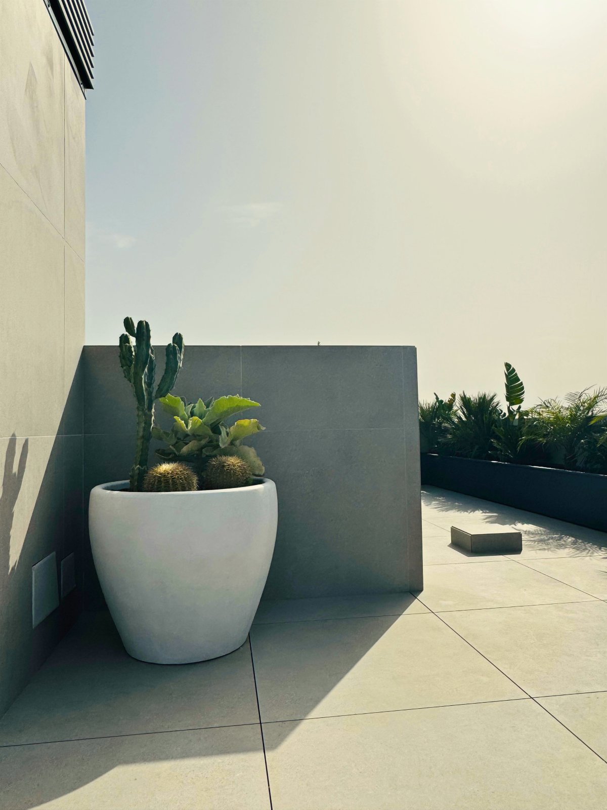 Palma Terrace — Garden Design Palma de Mallorca, Image 3