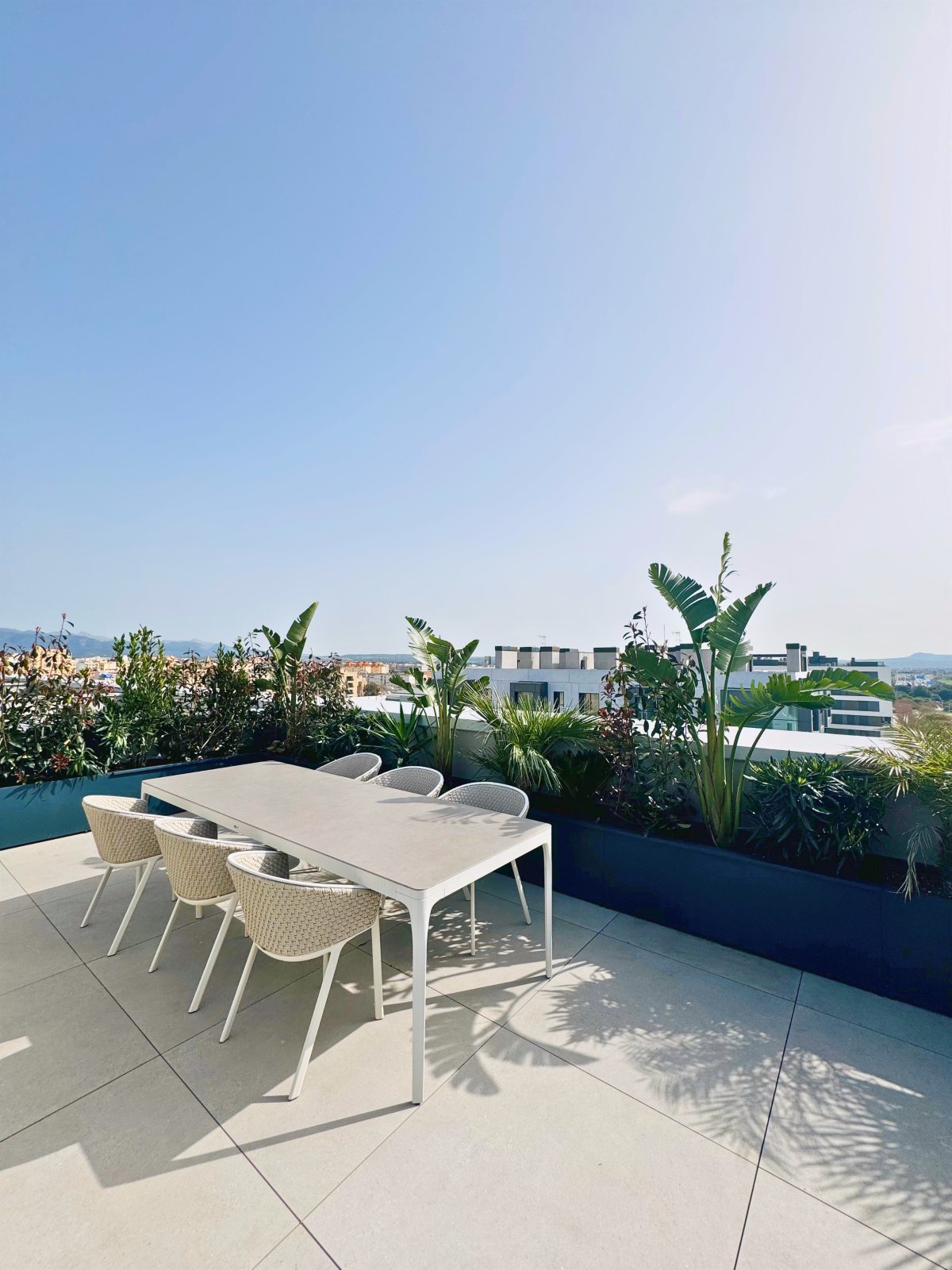 Palma Terrace — Garden Design Palma de Mallorca, Image 4
