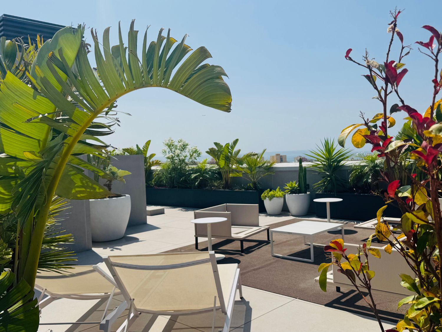 Palma Penthouse Terrace