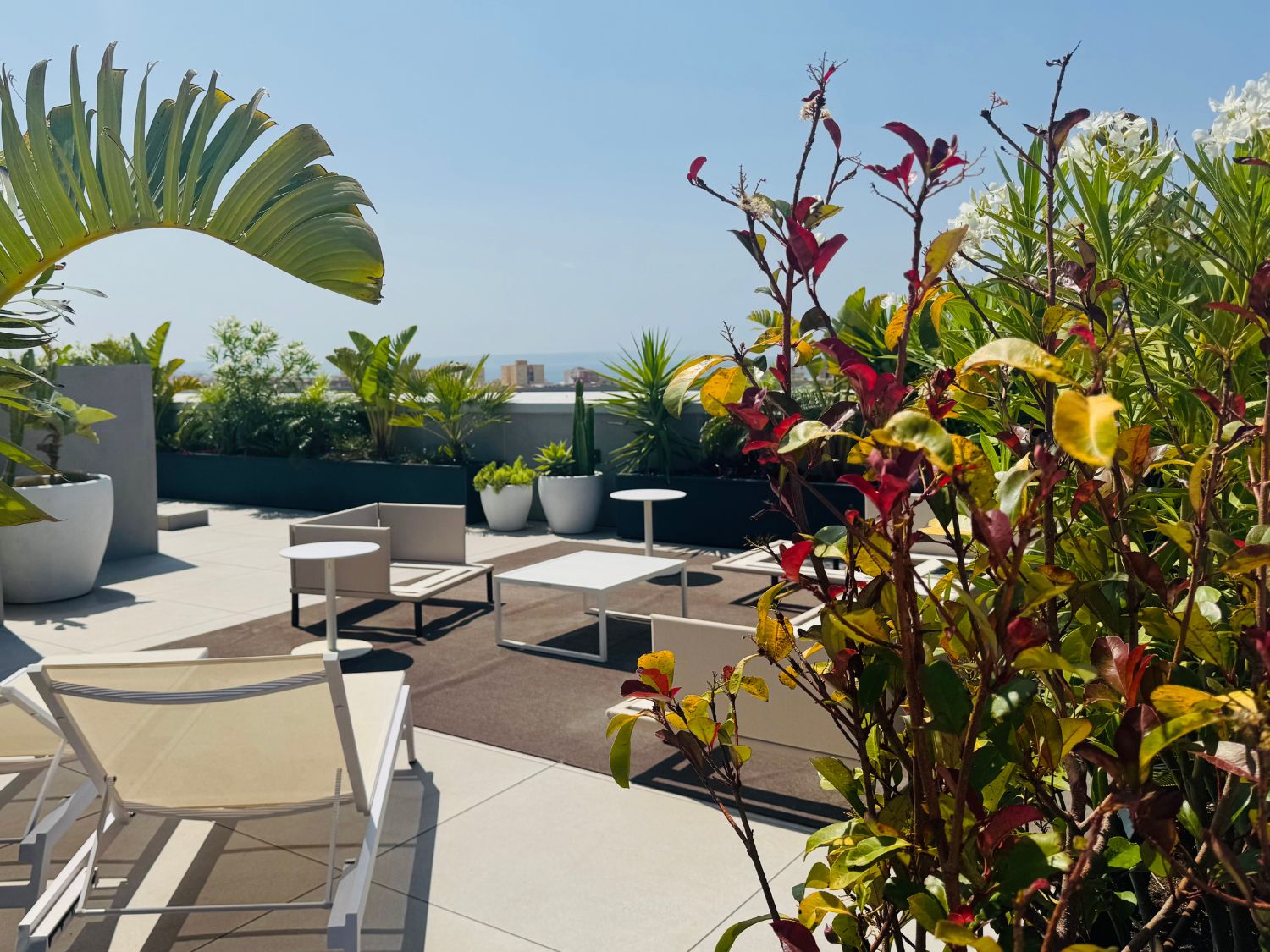 Palma Penthouse Terrace detail 3