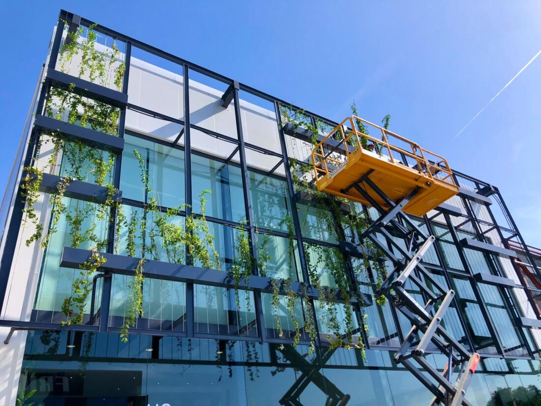 GARDEN LANDSCAPE DESIGN MALLORCA MALLORCA SESTEPA DESIGN — Vertical Living Walls