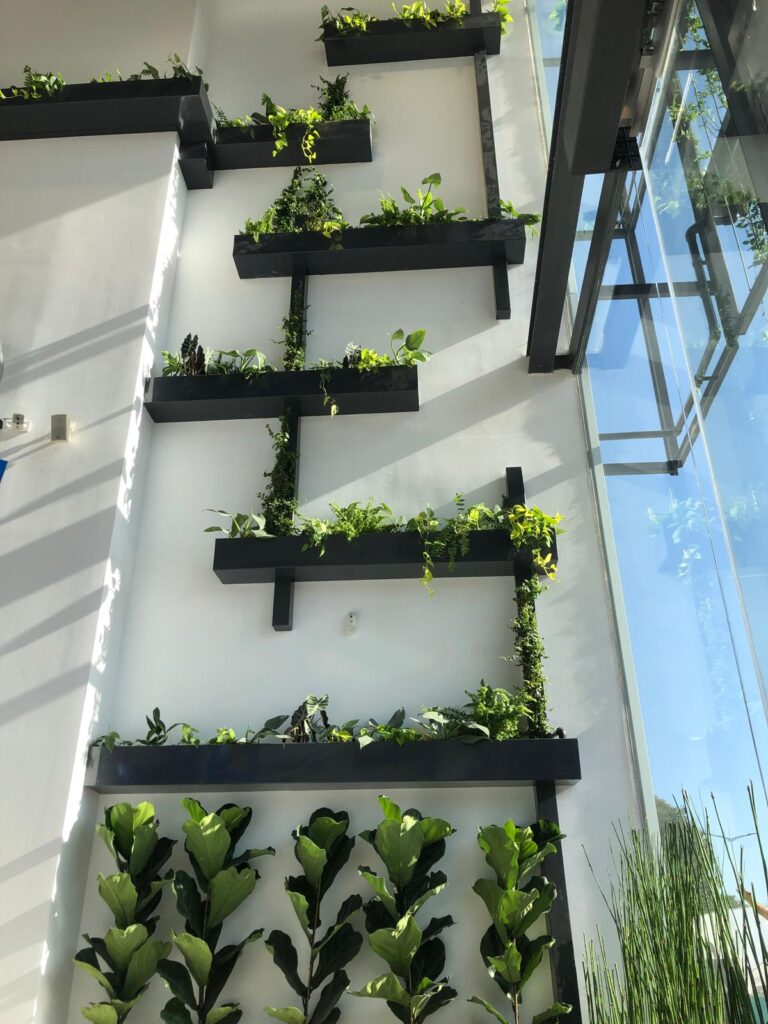GARDEN LANDSCAPE DESIGN MALLORCA MALLORCA SESTEPA DESIGN — Muros Verdes Verticales
