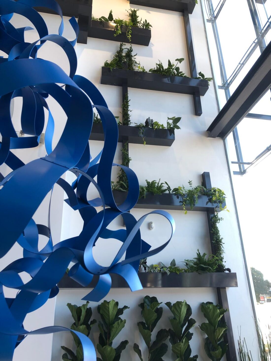 GARDEN LANDSCAPE DESIGN MALLORCA MALLORCA SESTEPA DESIGN — Muros Verdes Verticales
